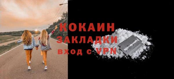прущие грибы Няндома