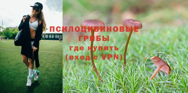 прущий лед Алексин