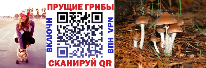 Псилоцибиновые грибы Magic Shrooms  наркошоп  Протвино 